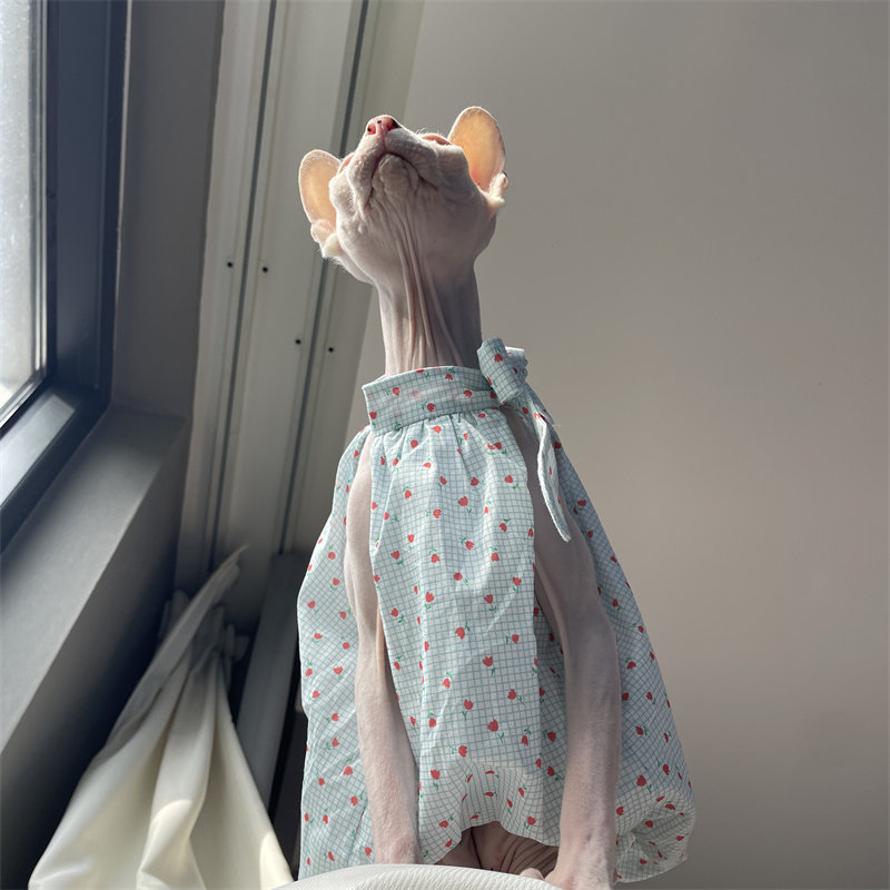 Летняя одежда для кошек: Нежно – обзор и цена Summer Light Clothing